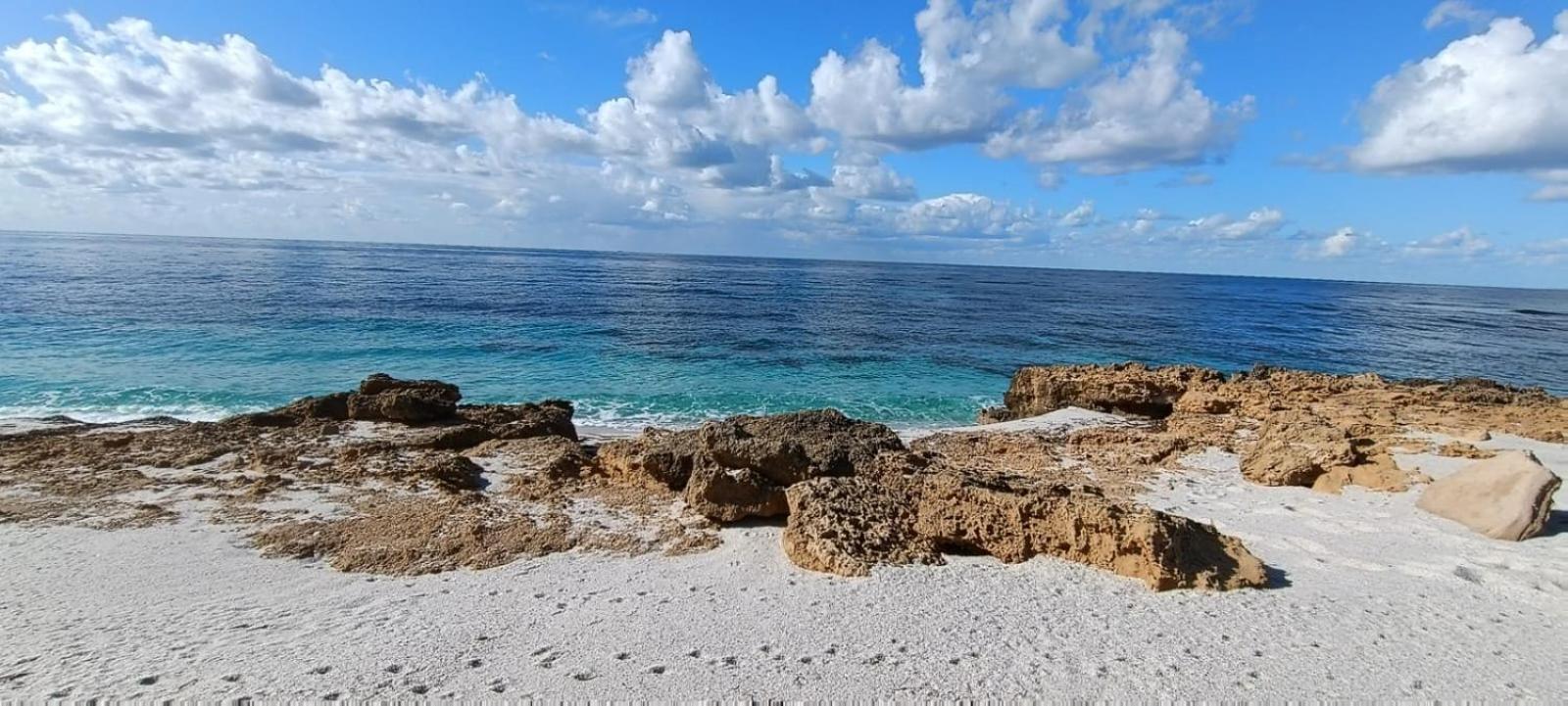 B&B Il Mirto Oristano Luaran gambar