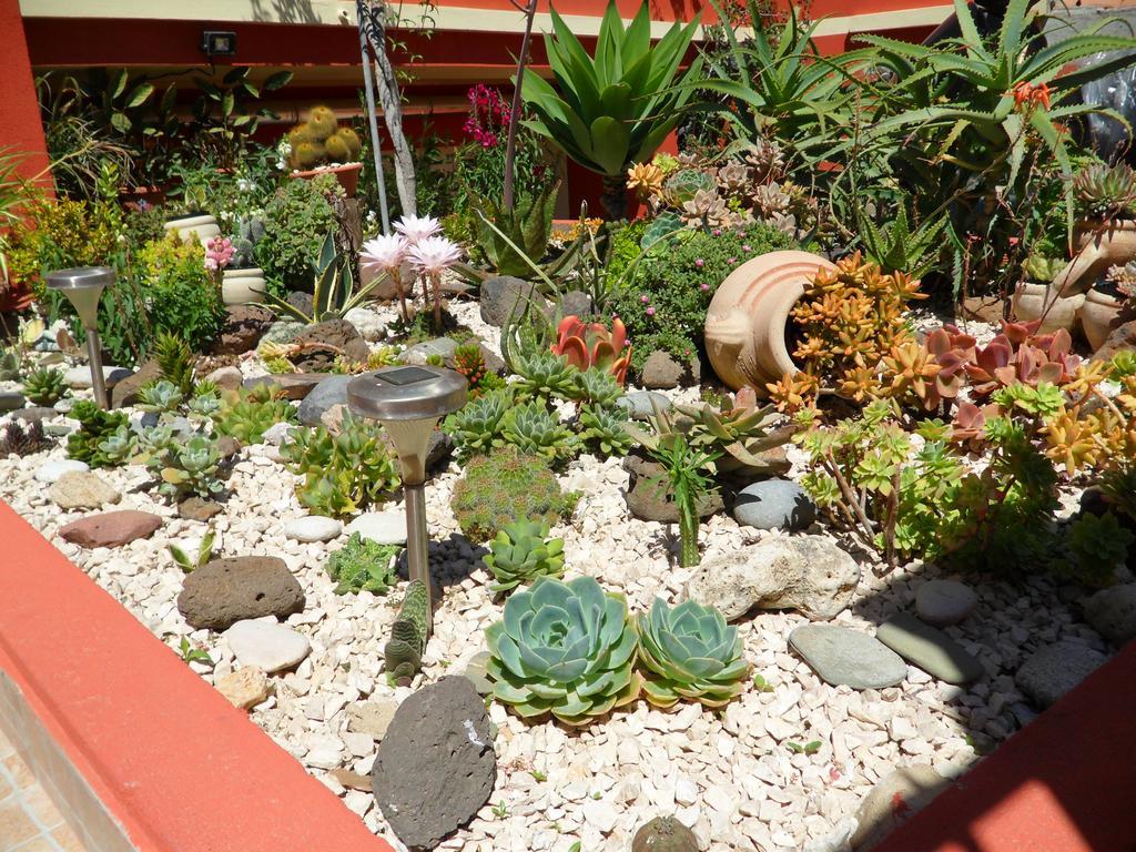 B&B Il Mirto Oristano Luaran gambar